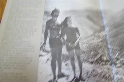 B.B. Lasarus. `n Seisoen in die Paradys. (skuilnaam Breyten Breytenbach - besoek SA 1973)